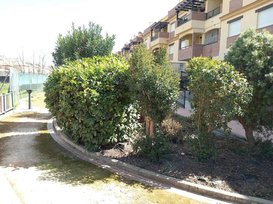 El Nido Del Nomada Appartement Atarfe Buitenkant foto